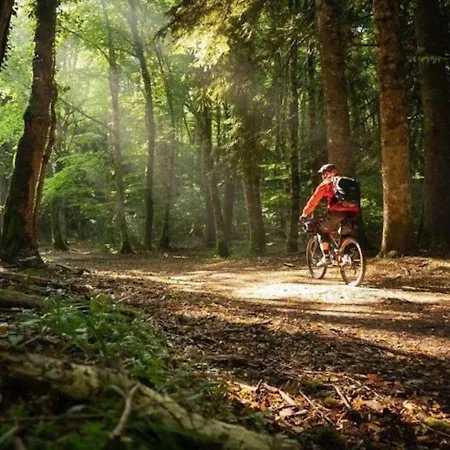 Appartamento Dimora 4cavalluccimarini *