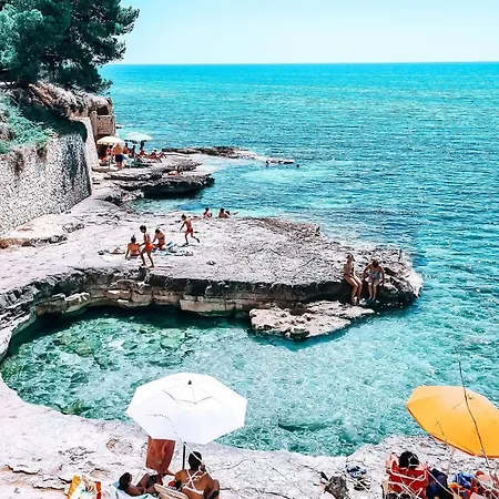 Dimora 4cavalluccimarini